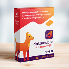 ПО DataMobile, версия Стандарт Pro в Оренбурге